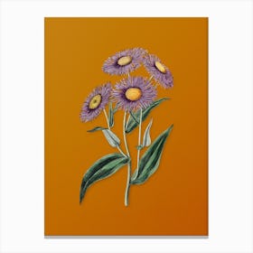 Vintage Shewy Stenactis Botanical on Sunset Orange n.0043 Canvas Print