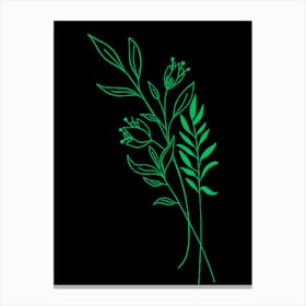 Green Leaves On Black Background Canvas Print