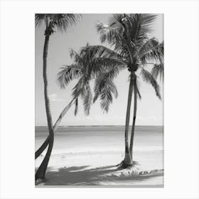 Palm Trees On The Beach 7 Canvas Print