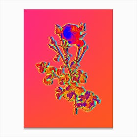 Neon Celery Leaved Cabbage Rose Botanical in Hot Pink and Electric Blue n.0064 Canvas Print