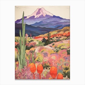 Pico De Orizaba Mexico 1 Colourful Mountain Illustration Canvas Print