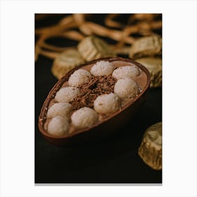 Chocolate Truffles 1 Canvas Print