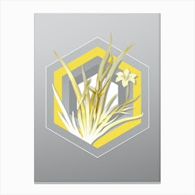 Botanical Fortnight Lily in Yellow and Gray Gradient n.122 Canvas Print