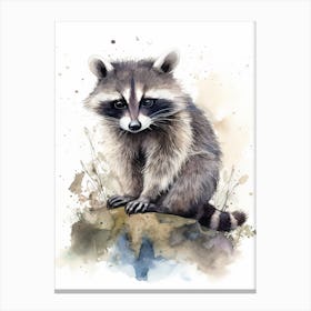A Honduran Raccoon Watercolour Illustration Storybook 1 Canvas Print