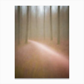 Blurred Path In The Woods 1 Canvas Print