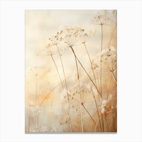 Boho Dried Flowers Queen Annes Lace 8 Canvas Print