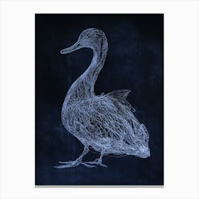 Duck On A Blackboard Canvas Print