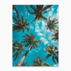 Palm Trees In The Sky 1 Canvas Print