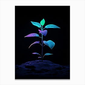 Neon Plant 14 Canvas Print