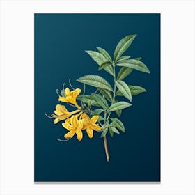 Vintage Yellow Azalea Botanical Art on Teal Blue n.0763 Canvas Print