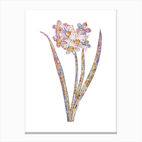 Stained Glass Narcissus Easter Flower Mosaic Botanical Illustration on White n.0049 Canvas Print