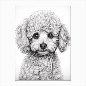 Poodle Dog, Line Drawing 3 Canvas Print