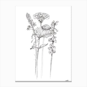 Black and White Posie of Flowers Canvas Print