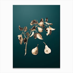 Gold Botanical Pear on Dark Teal Canvas Print