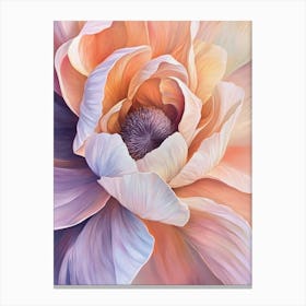 Peony Flower 1 Canvas Print