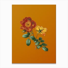 Vintage Sweetbriar Rose Botanical on Sunset Orange n.0821 Canvas Print