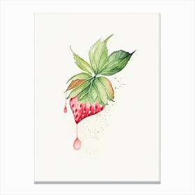 Strawberry Leaf Minimalist Watercolour 2 Canvas Print