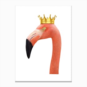 King Flamingo Canvas Print