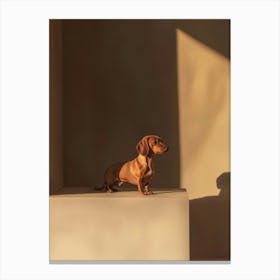 Shadow Of Dachshund.Generated AI. Wall Art Print Canvas Print