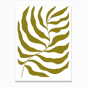 Zebra Leaf Canvas Print