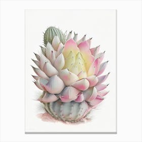 Acanthocalycium Cactus Pastel Watercolour 2 Canvas Print