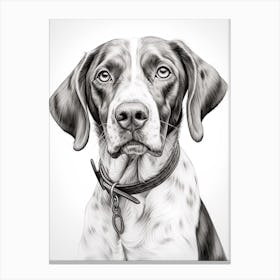Pointer Dog, Line Drawing 4 Canvas Print