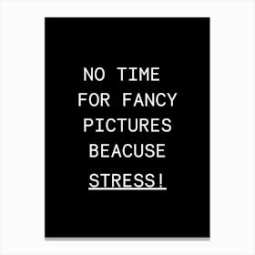No Time For Fancy Pictures Because Stress Canvas Print