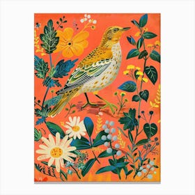 Spring Birds Baldpate 3 Canvas Print