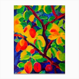 Acai 2 Fruit Vibrant Matisse Inspired Painting Fruit Canvas Print