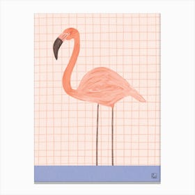 Flamingo With Square Canvas Print