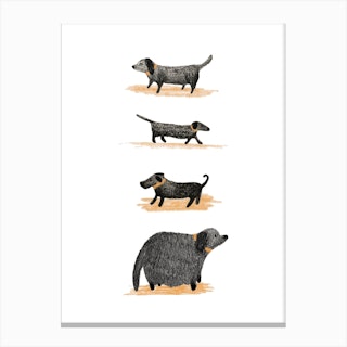 Scribble Dogs Canvas Print