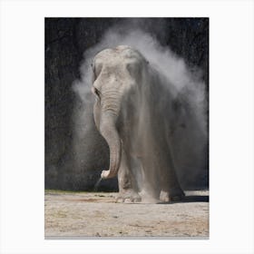 Elephant 1 Canvas Print