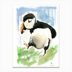 Puffin bird watercolor painting animal nature kids children kitchen illustration Canvas Print