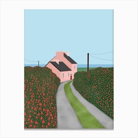 Irish Cottage with Fuchsia Flowers Canvas Print
