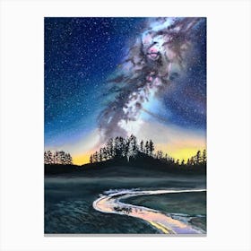 Milky Night Canvas Print