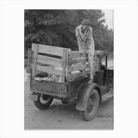 Untitled Photo, Possibly Related To Unloading Migrant Truck Along Roadside Near Henrietta I,E Canvas Print