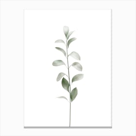 Green Leaves Canvas Print