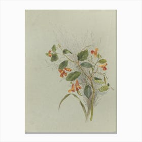 Drawing Of A Flower Canvas Print