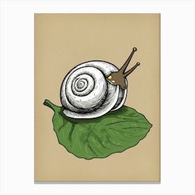 Snail On A Leaf Canvas Print