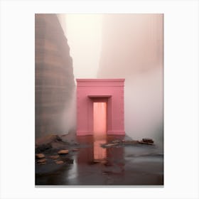 Pink Door 8 Canvas Print