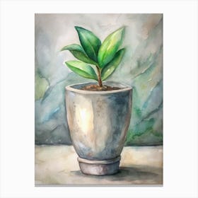 Potted Plant 6 Canvas Print