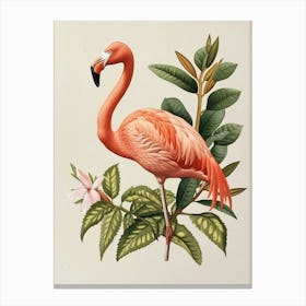 American Flamingo And Croton Plants Minimalist Illustration 3 Canvas Print
