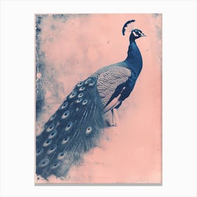 Pink & Blue Peacock Portrait 2 Canvas Print