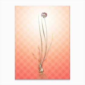 Allium Foliosum Vintage Botanical in Peach Fuzz Tartan Plaid Pattern n.0052 Canvas Print