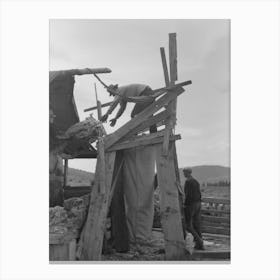 Tossing Fleece Into Wool Bag, Sheep Shearing Time In Malheur County, Oregon By Russell Lee Canvas Print