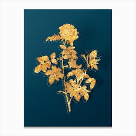 Vintage Pink Rosebush Botanical in Gold on Teal Blue n.0134 Canvas Print