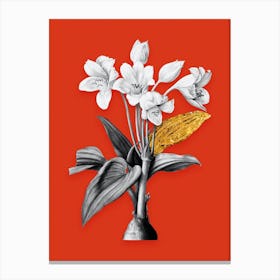 Vintage Crinum Giganteum Black and White Gold Leaf Floral Art on Tomato Red n.0790 Canvas Print
