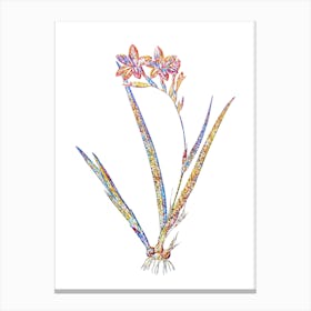 Stained Glass Gladiolus Cardinalis Mosaic Botanical Illustration on White n.0205 Canvas Print