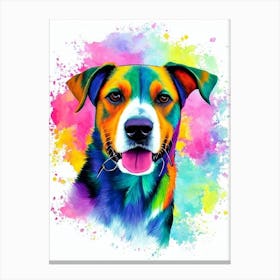 Treeing Walker Coonhound Rainbow Oil Painting dog Canvas Print