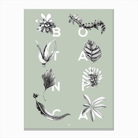 Botanica Letters Mint Canvas Print